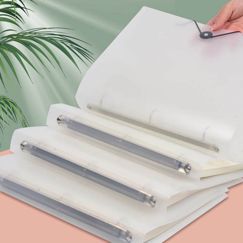 3Pcs Frosted Transparent A4 Lo - Binder Storage Box review and price