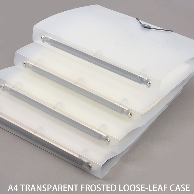 3Pcs Frosted Transparent A4 Lo - Binder Storage Box review and price