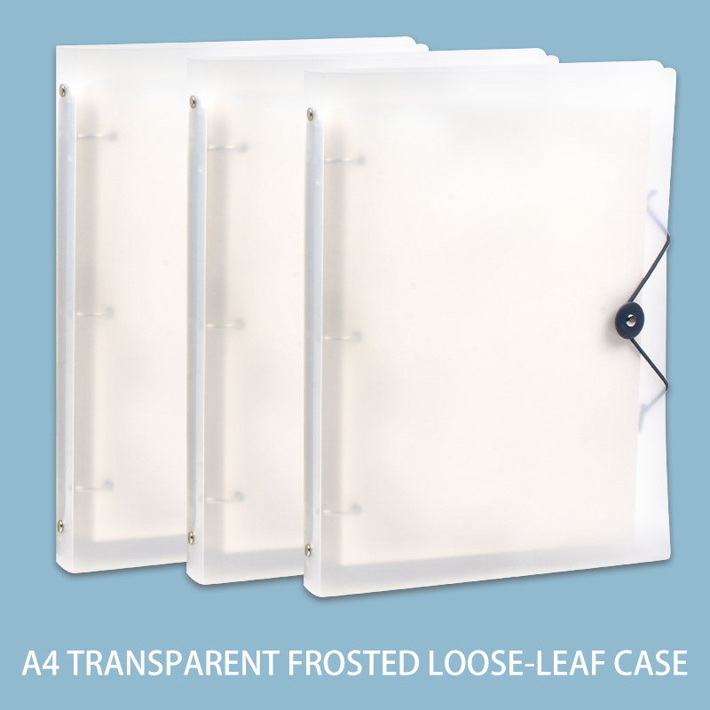 3Pcs Frosted Transparent A4 Lo - Binder Storage Box review and price